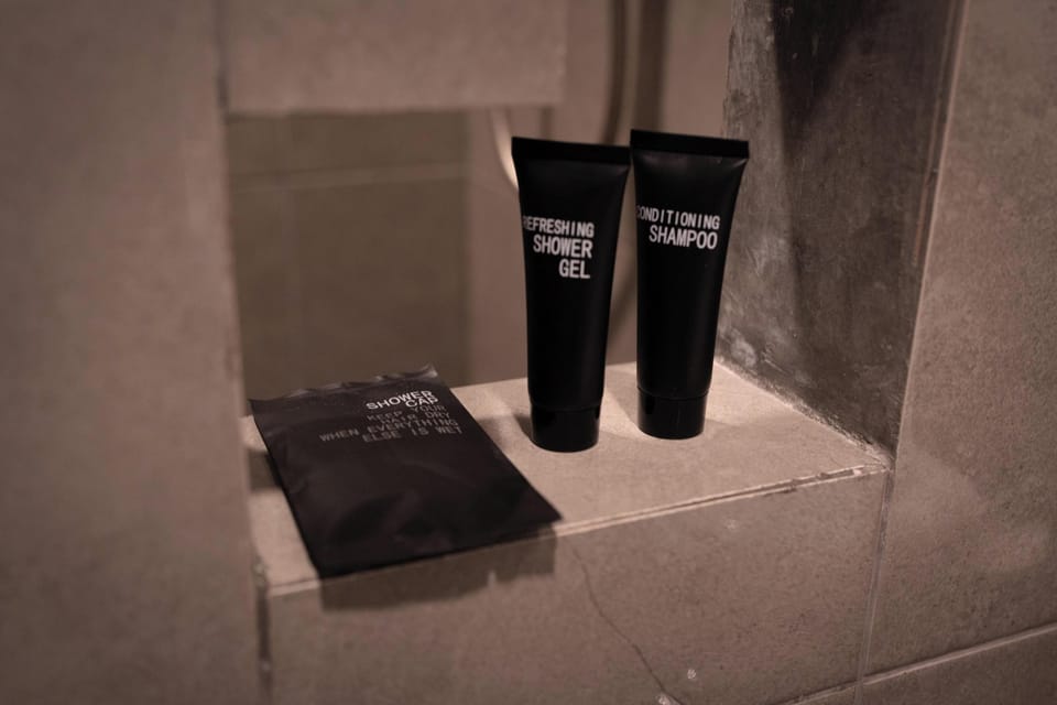 Standard Twin Room | Bathroom amenities | Shower, free toiletries, hair dryer, towels