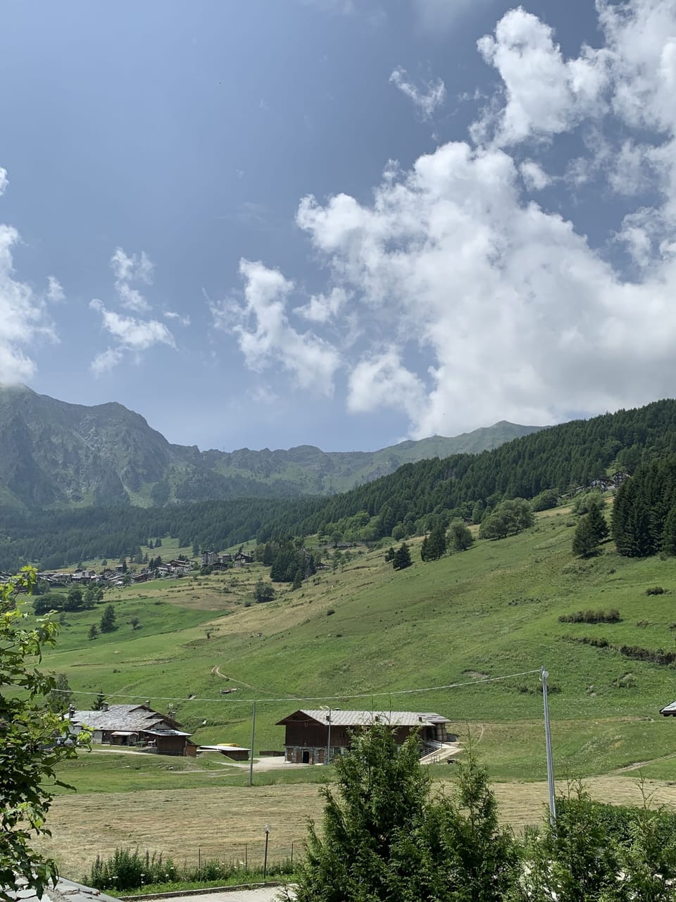 View from room