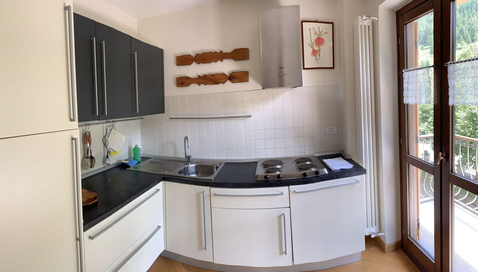 Fridge, stovetop, cookware/dishes/utensils, freezer