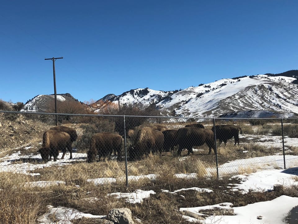 Miscellaneous