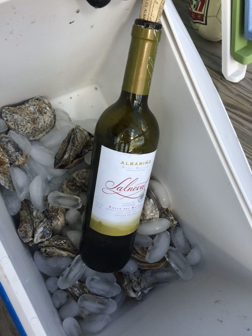 Fresh oysters and wine in the cooler. Yum!
