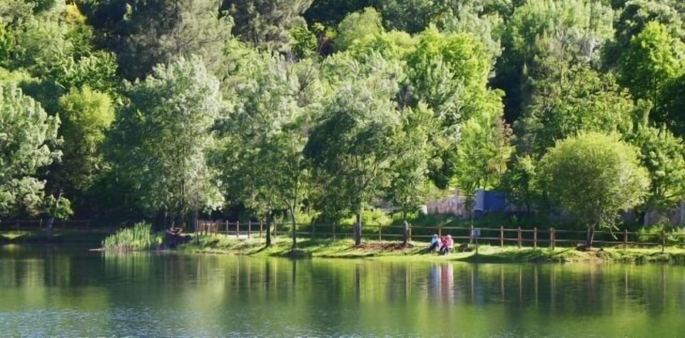 Lake