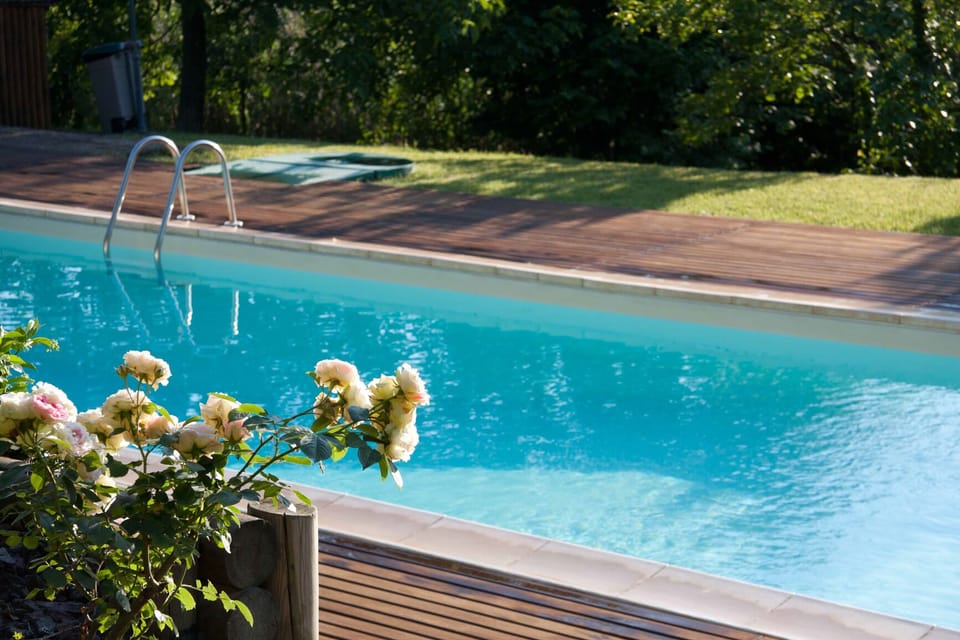 Details of private pool surrounded by greenery, flowers and teak wood area