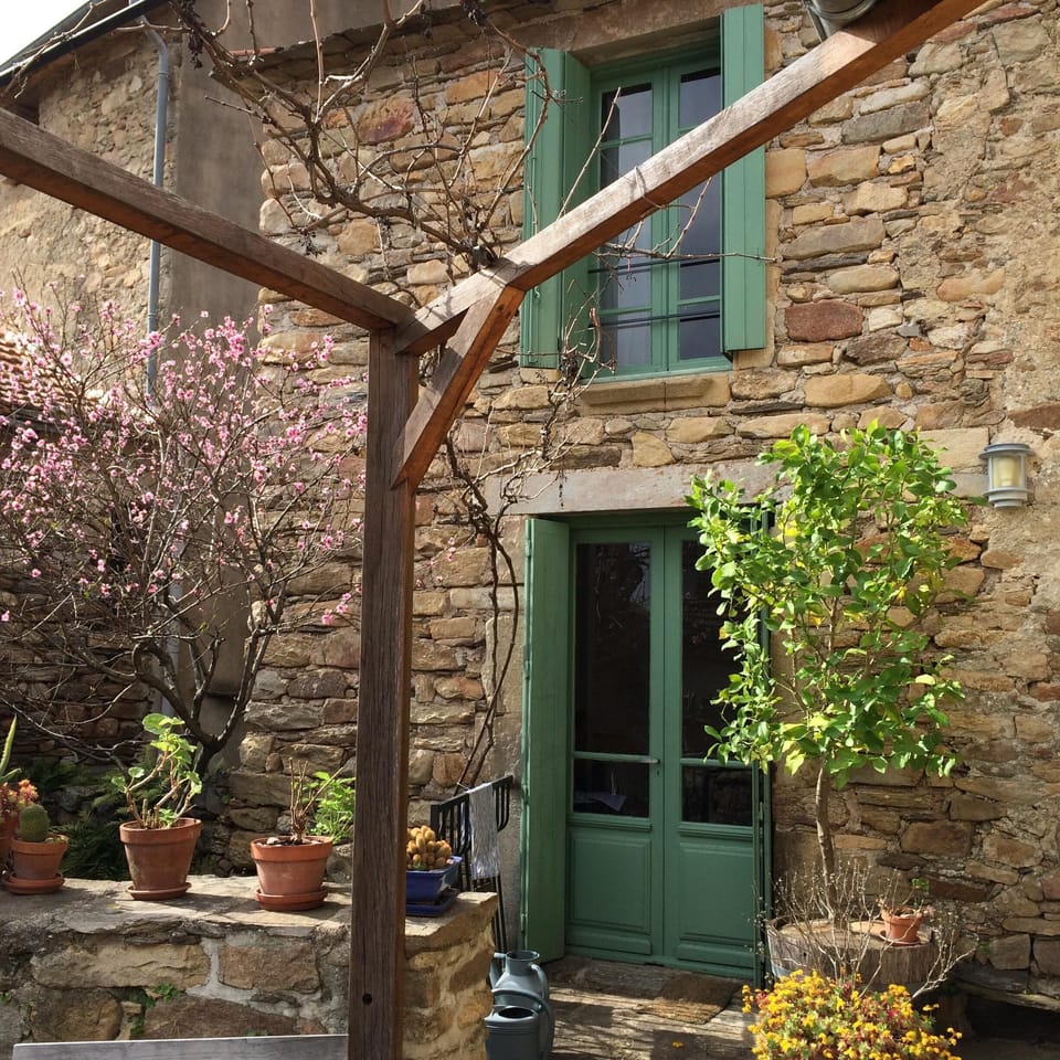 Terrace with lemon and peach trees