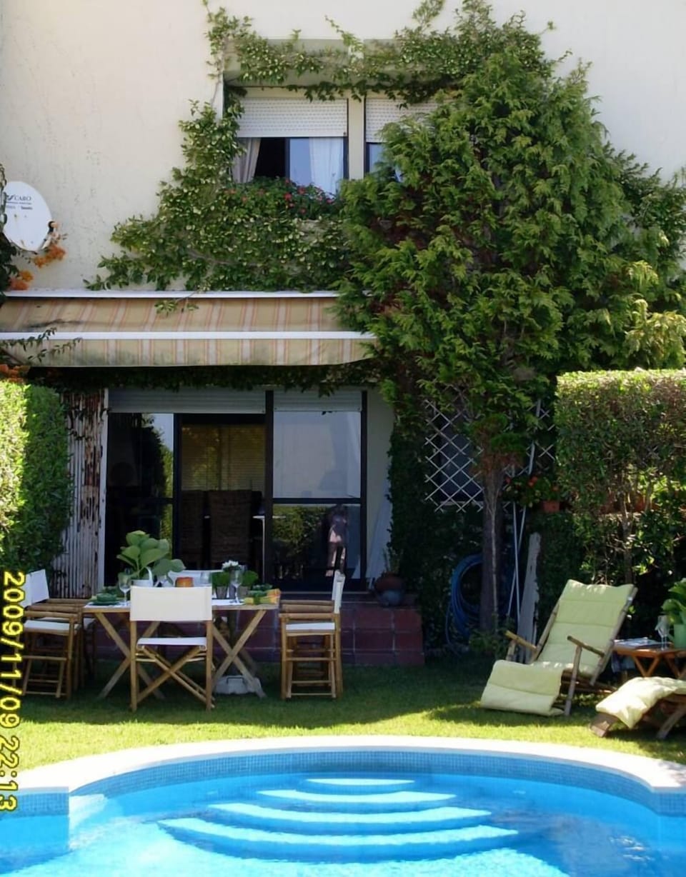 View of the backyard