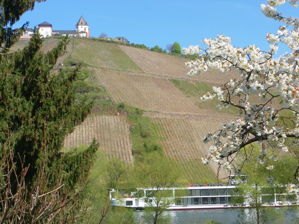 large comfortable house for 2 to 6 people, directly on the Moselle, with WiFi  House in Cochem-Zell