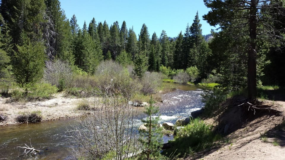 Upper Truckee River, less than 5 min walk from back yard. Great hiking trails.