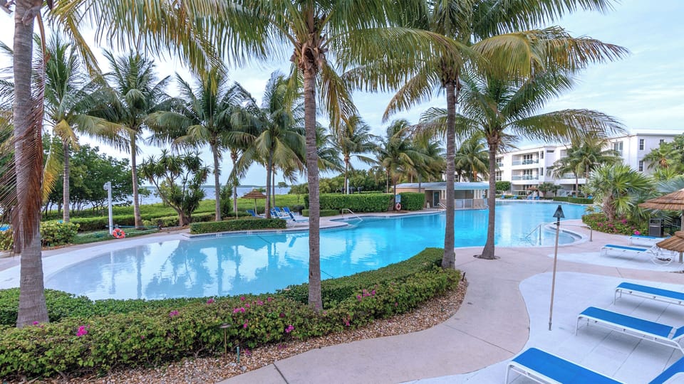 Oasis Pool