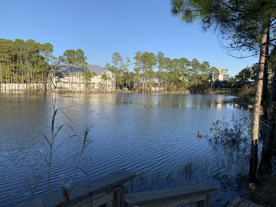 Lake