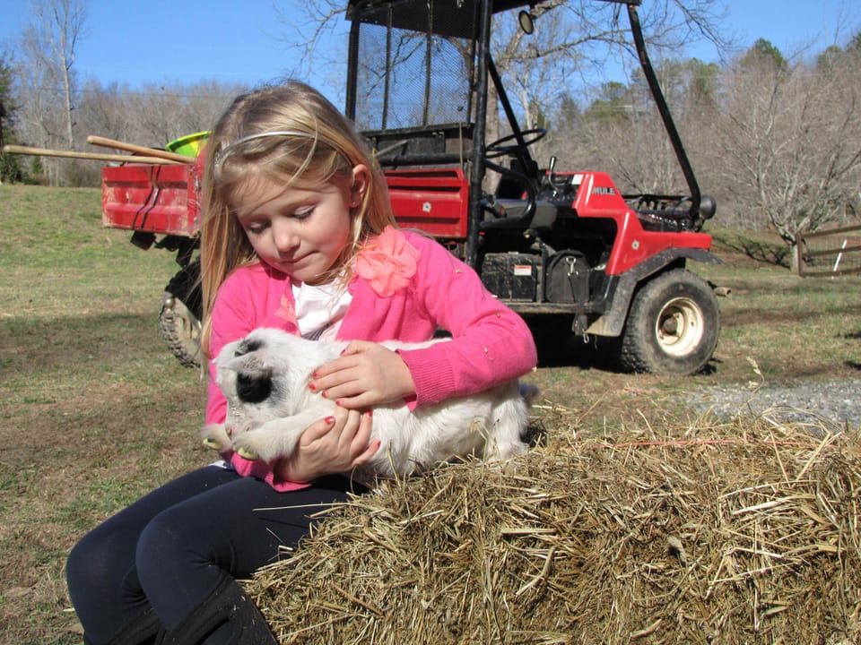 My little girl, Daisy with the newest addition of the family, Toot.