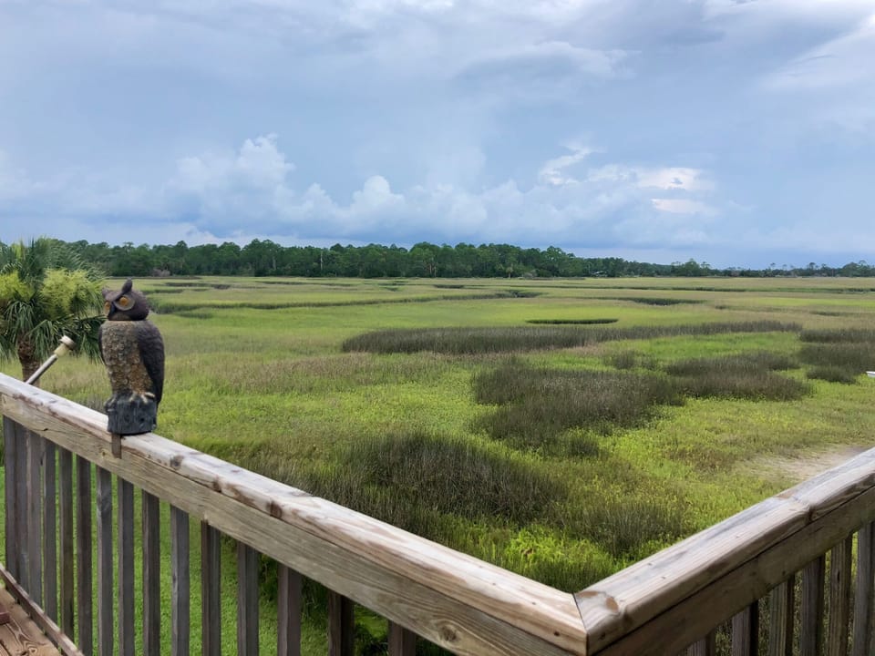 View of marsh from the sun deck. 