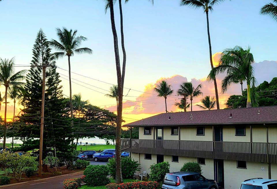 Honokowai Palms