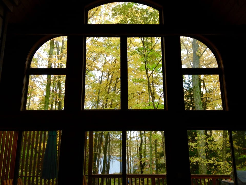 Fall View!
