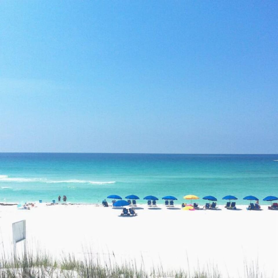 TRUE PHOTO OF YOUR PRIVATE BEACH. JUST A 3-4 MINUTE WALK FROM THE HOUSE. 