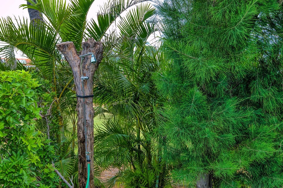 Private outdoor shower