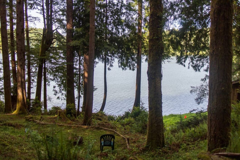 Trail to the Lake