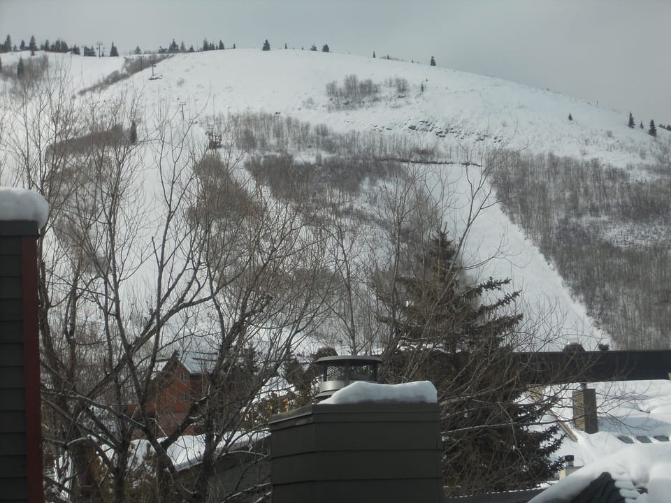 Primary Bedroom View!
