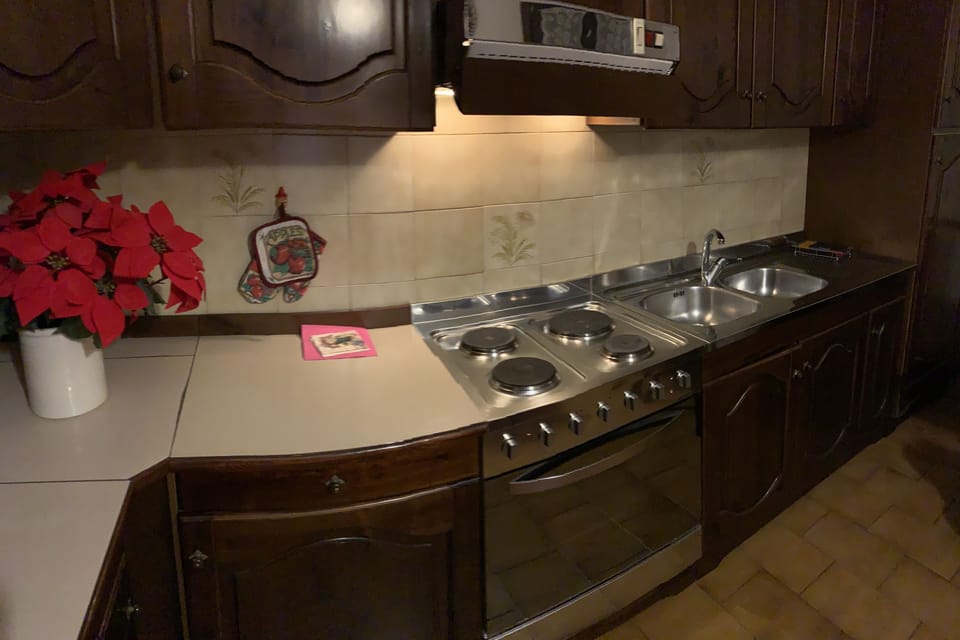 Studio, Shared Bathroom, City View | Private kitchen | Electric kettle