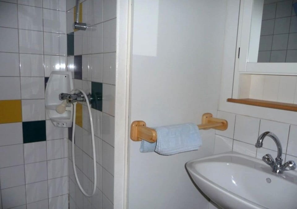 Shower, hair dryer