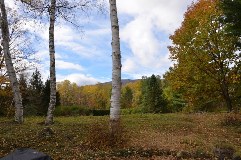 View from the back of the house and deck.