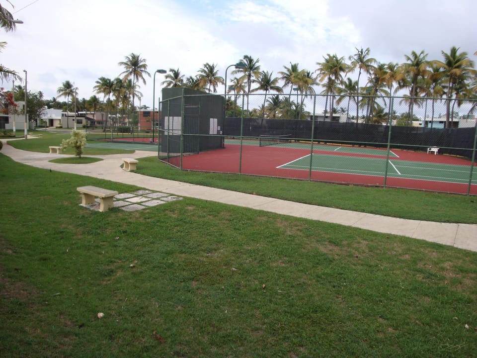 Sport court