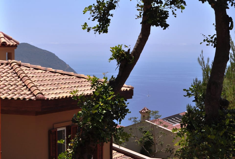 Terrace View