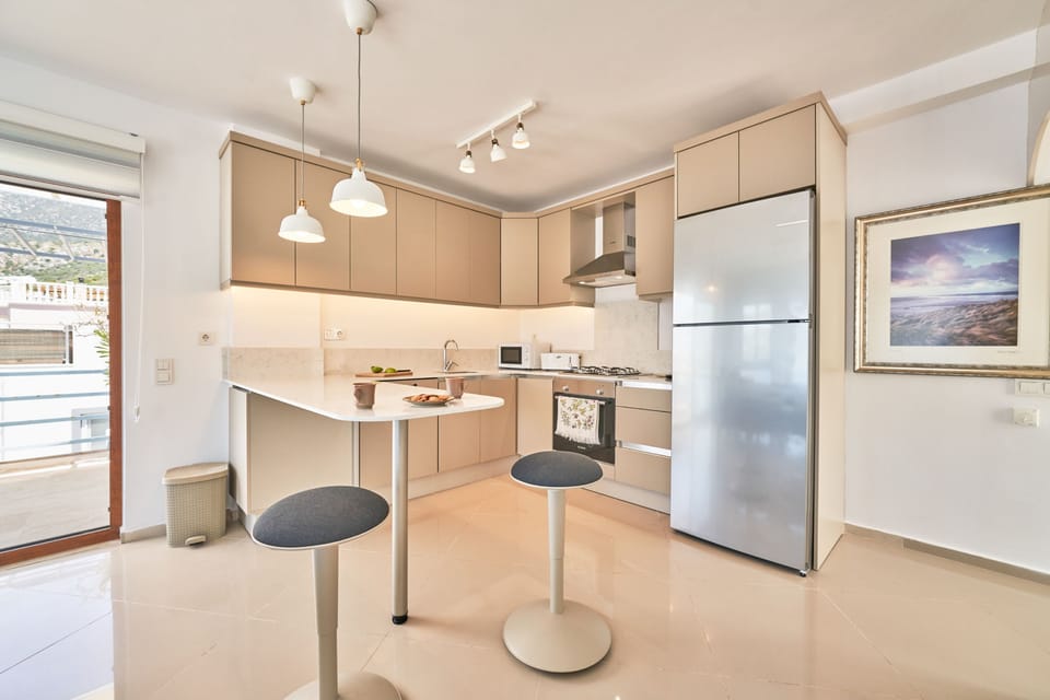 State of the art contemporary kitchen