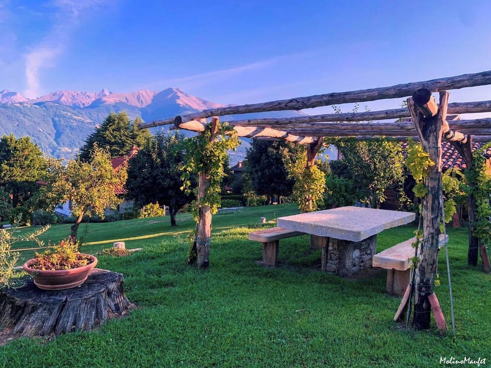 BBQ/picnic area