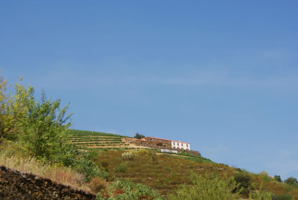Quinta da Veiga Country House in Vila Real District
