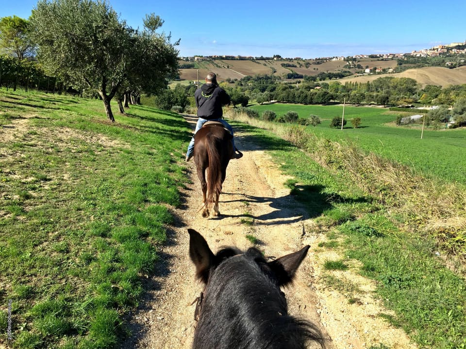 Horseback riding