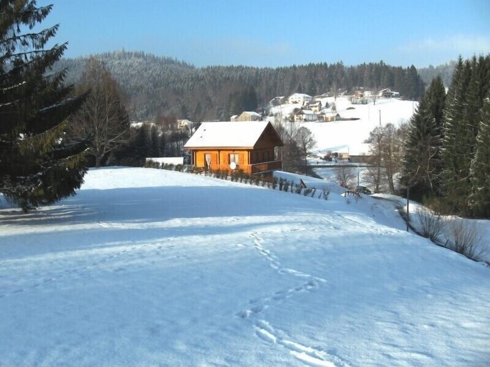 Under the snow in 2011