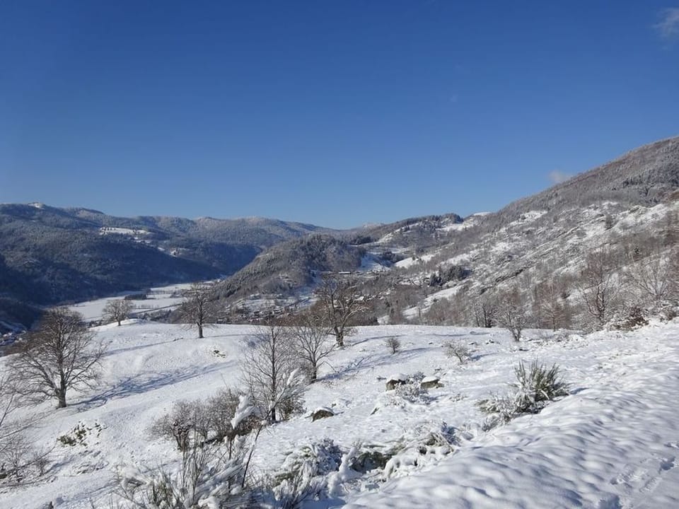 Snow and ski sports