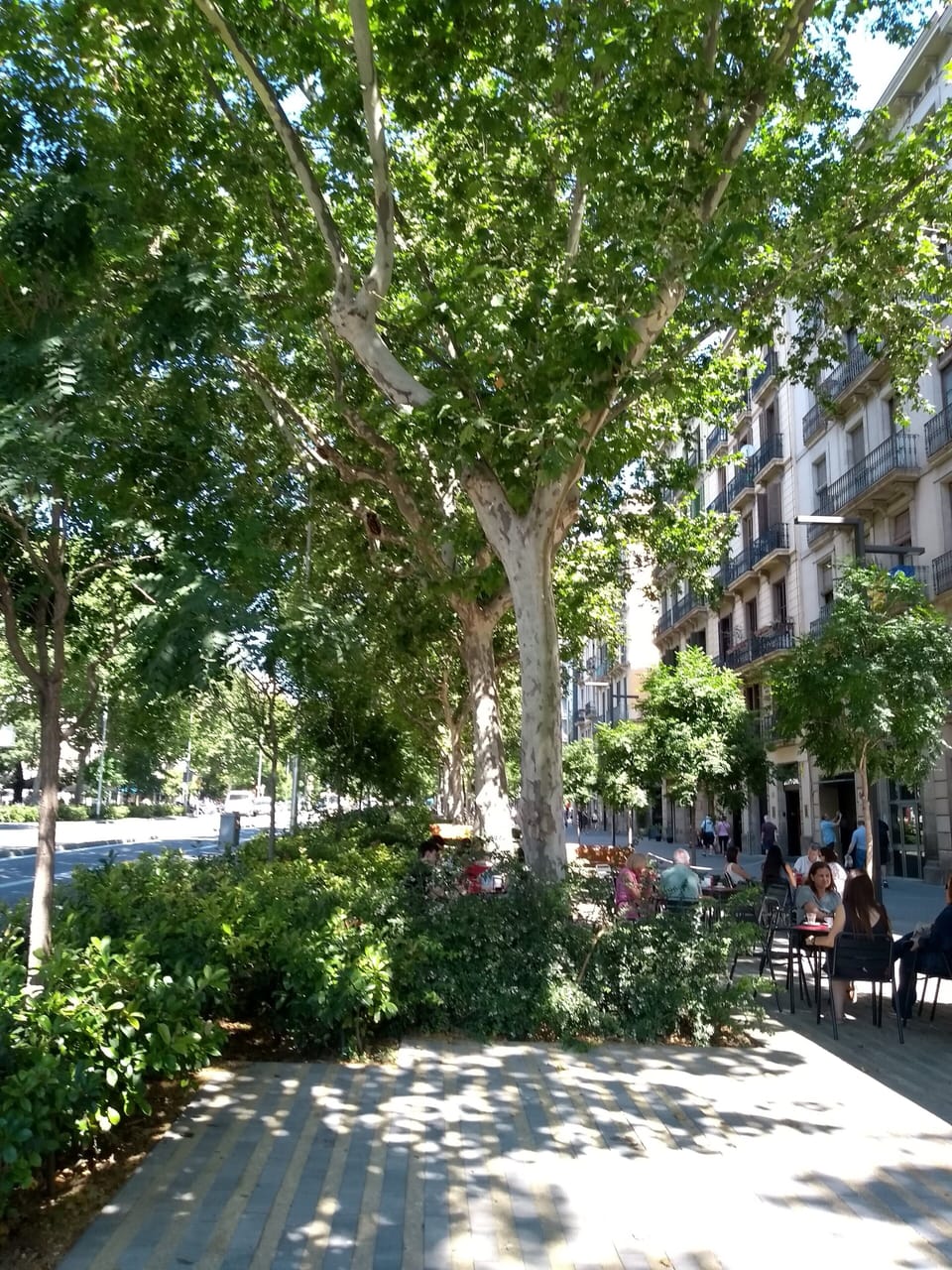 Neighbourhood