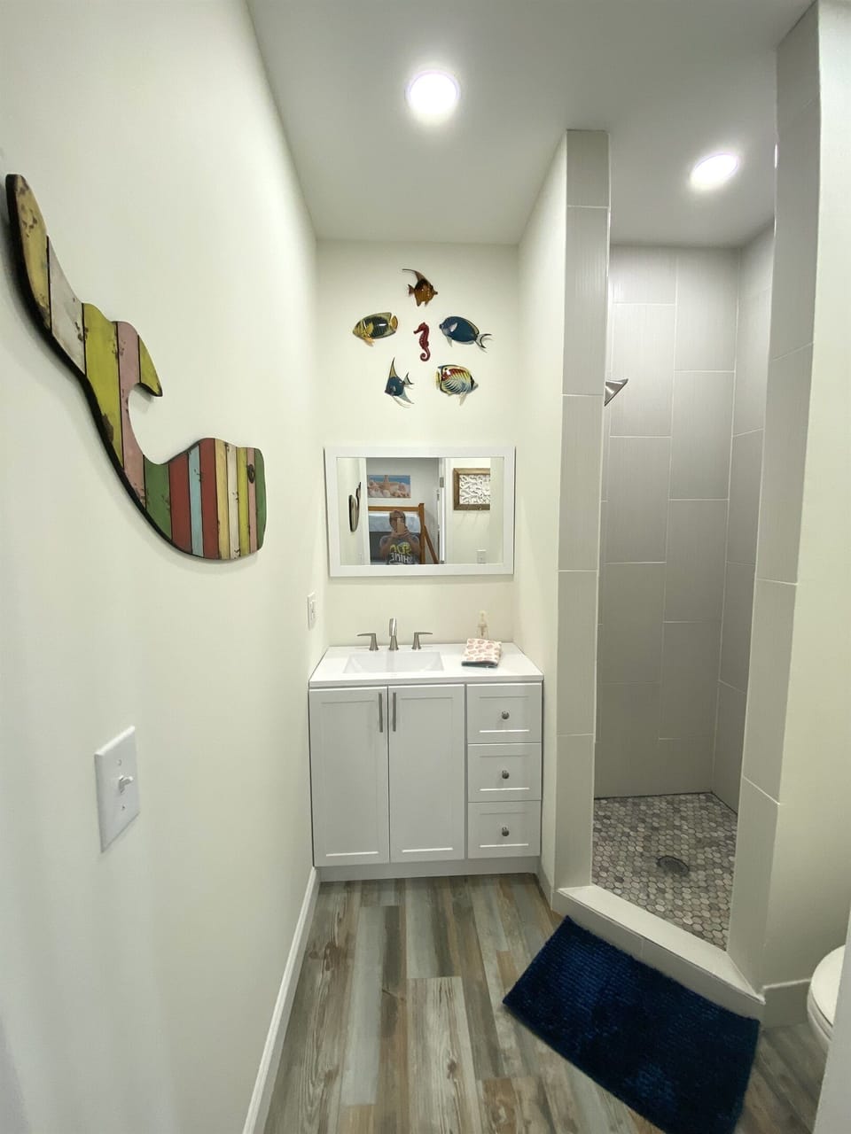 Downstairs Full Bath- walk in shower