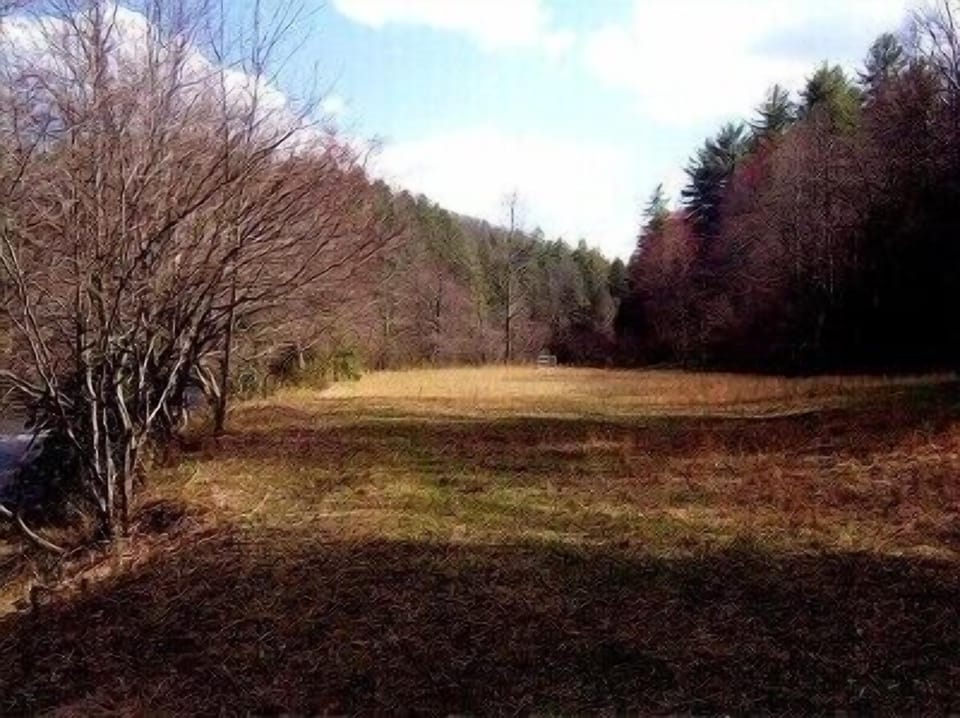 Picnic and recreation area