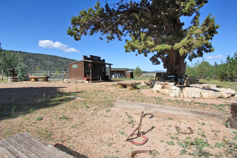 Horseshoes and room to roam