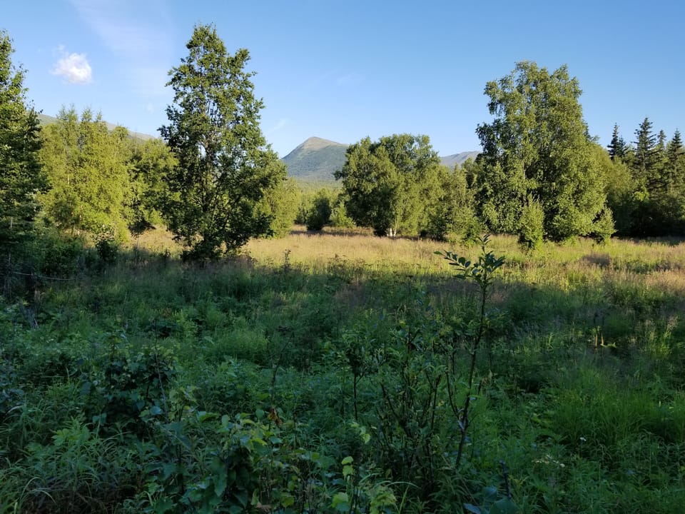 Hiking trails and peaceful woods to explore