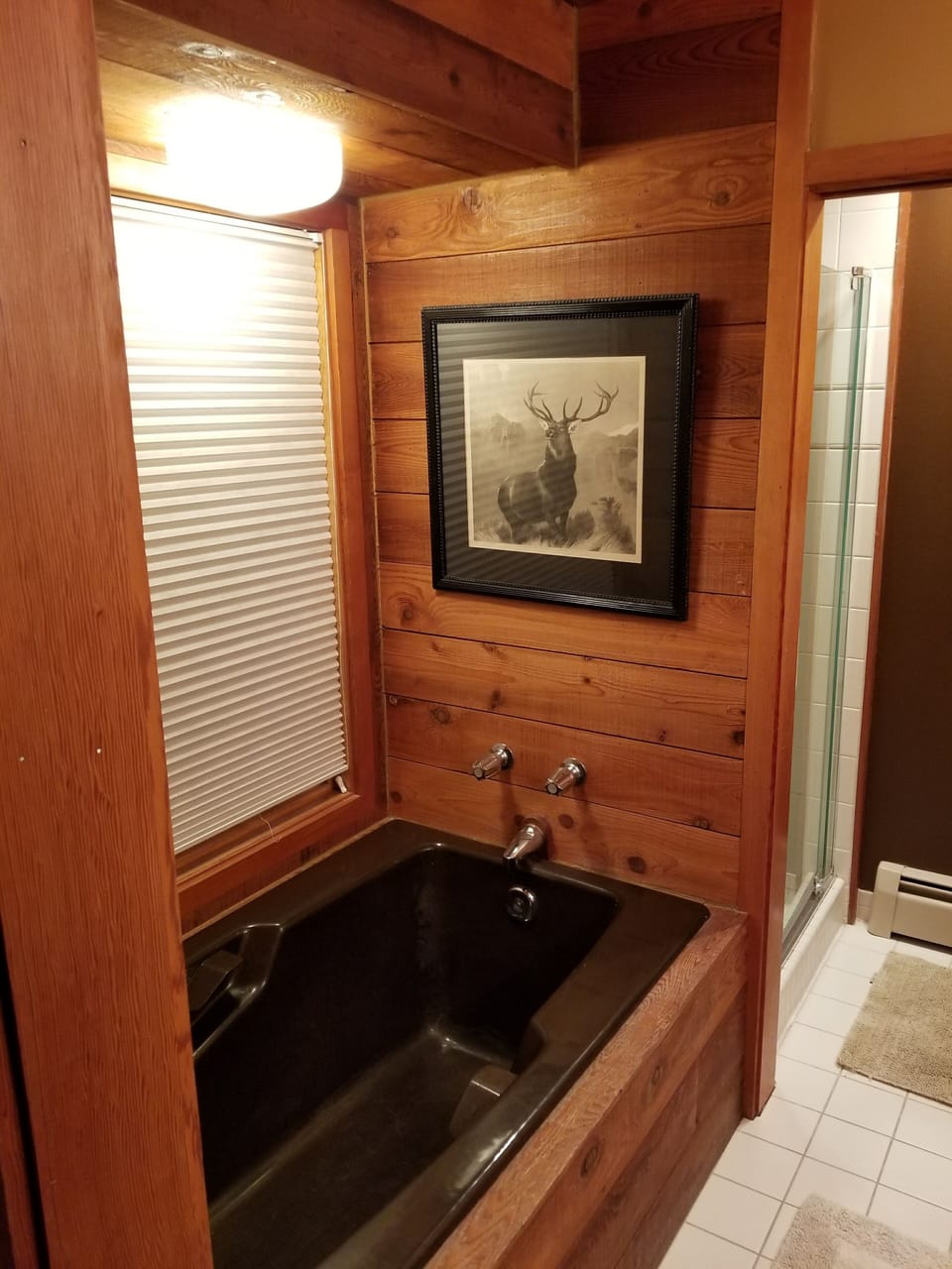 Master Bath 1