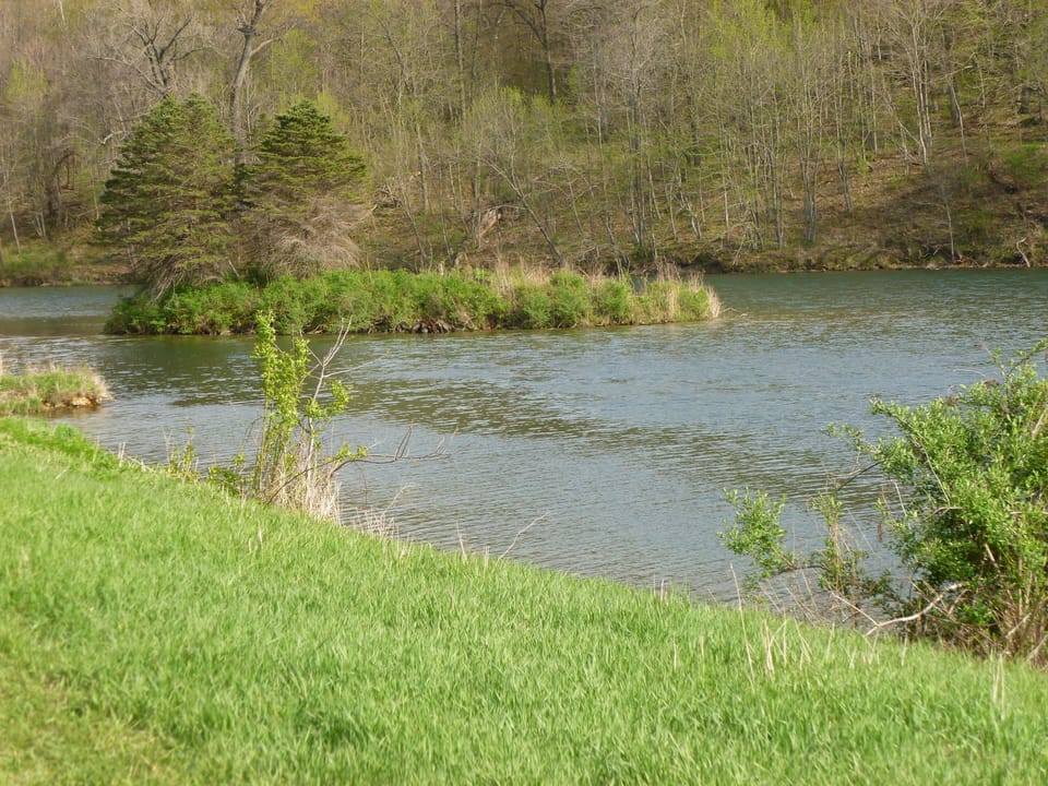 The island in the lake