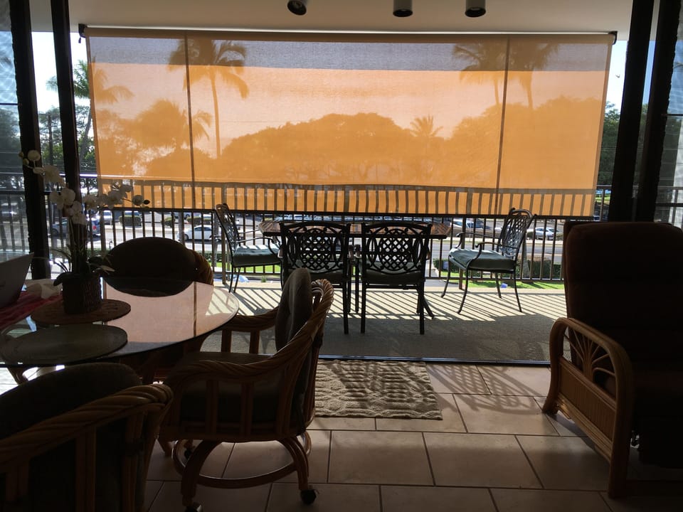 Lanai screen -- greatly reduces afternoon heat from sun