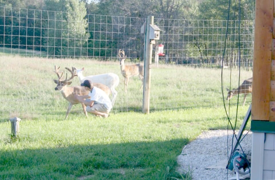 Private Whitetail Deer Park Only A Few Steps From The Lodge & Cabins
