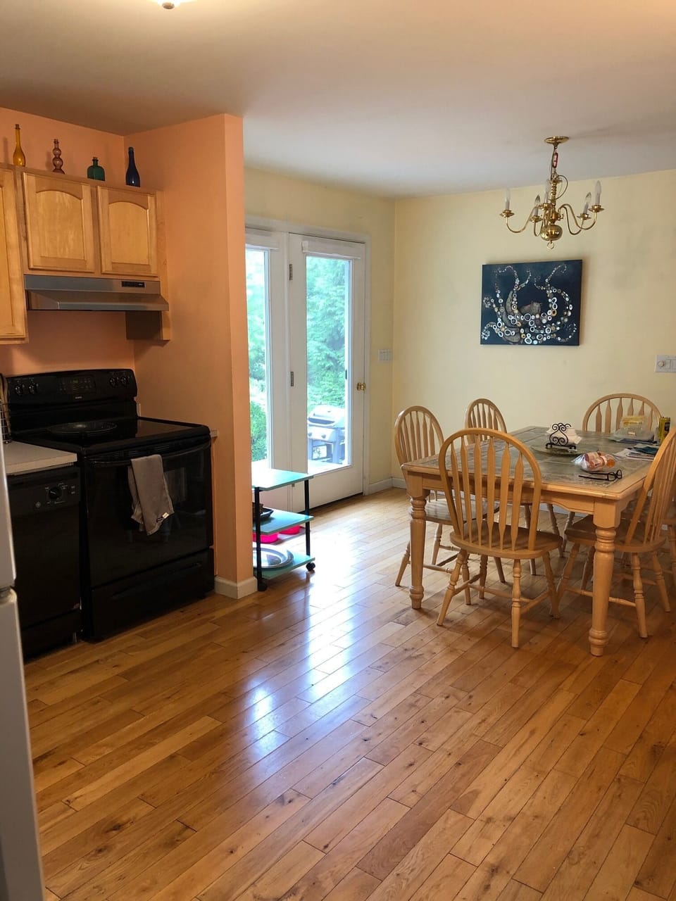 kitchen and dining area with doors to the patio and backyard