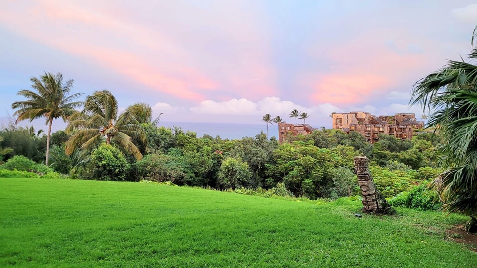 Huge back yard