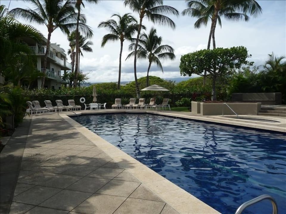 Lap Salt Water Pool