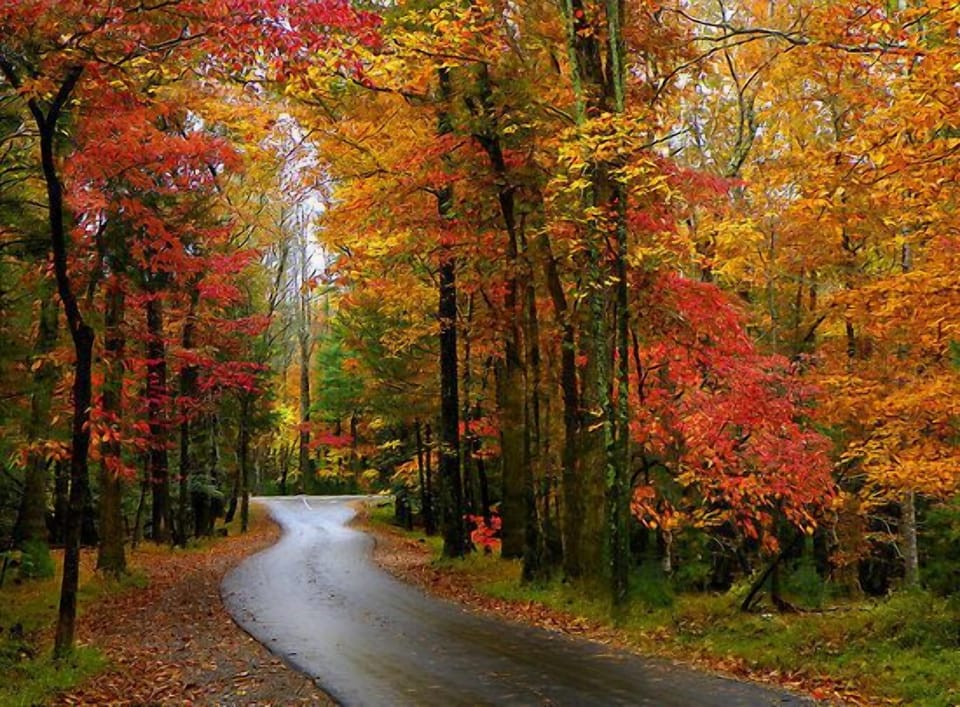Roads to the Smokies in the Fall. 