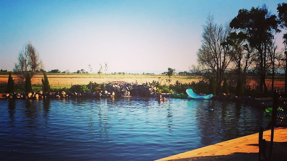 Natural swimming pool