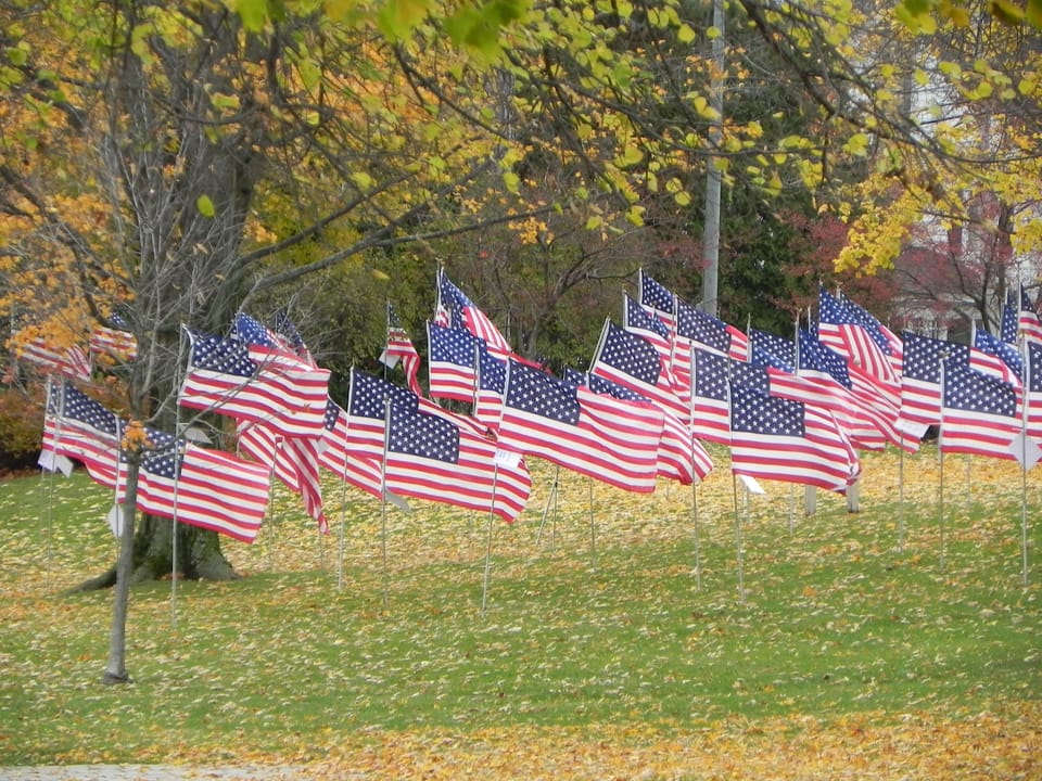 Veterans Day Skaneateles