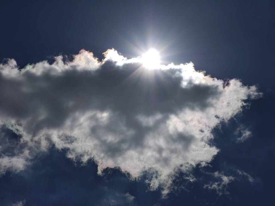 Beautiful Carolina sunshine!