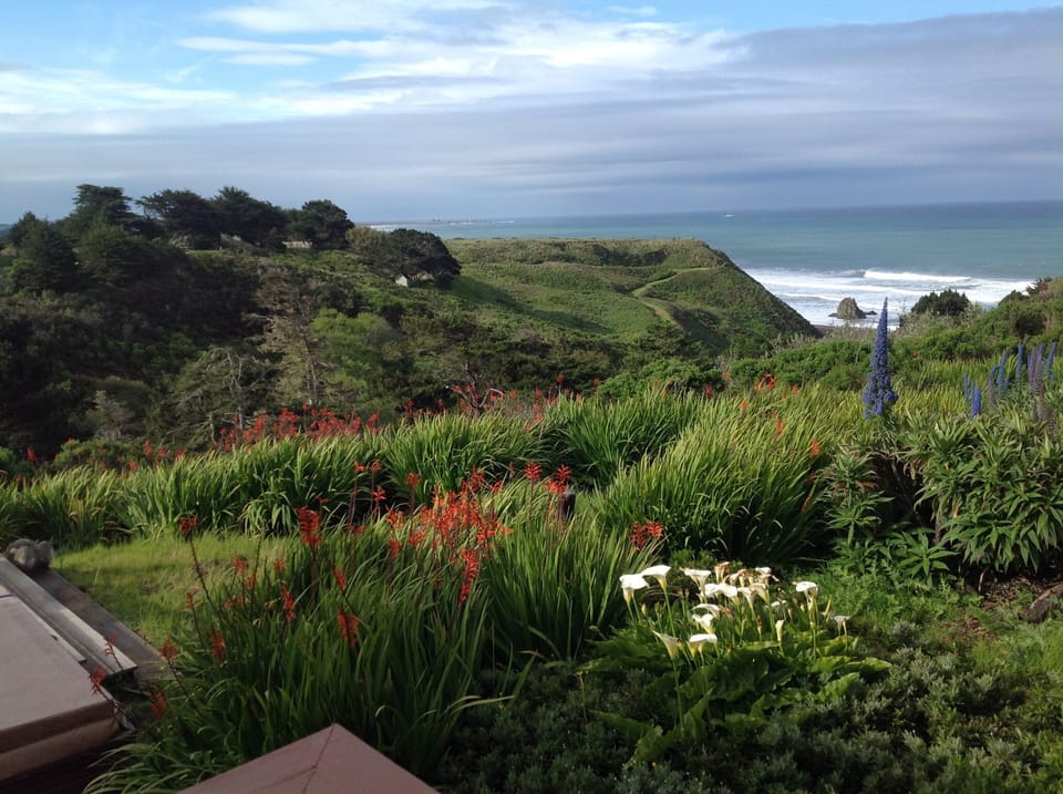 Early spring view from the spa & living room.
