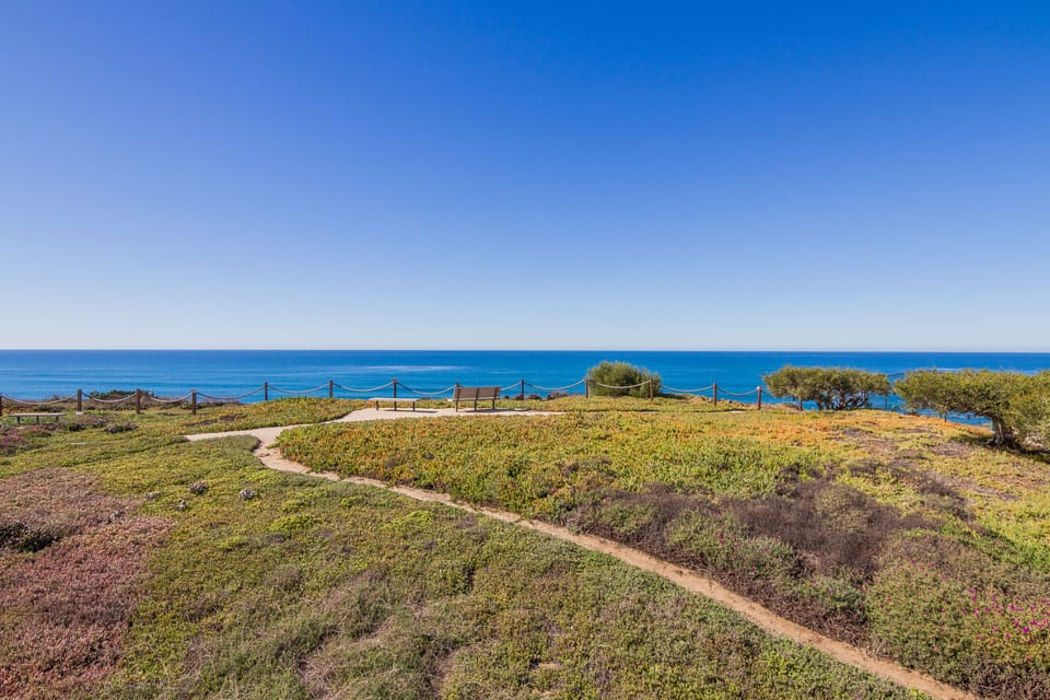 The grounds of the complex right in front of our unit